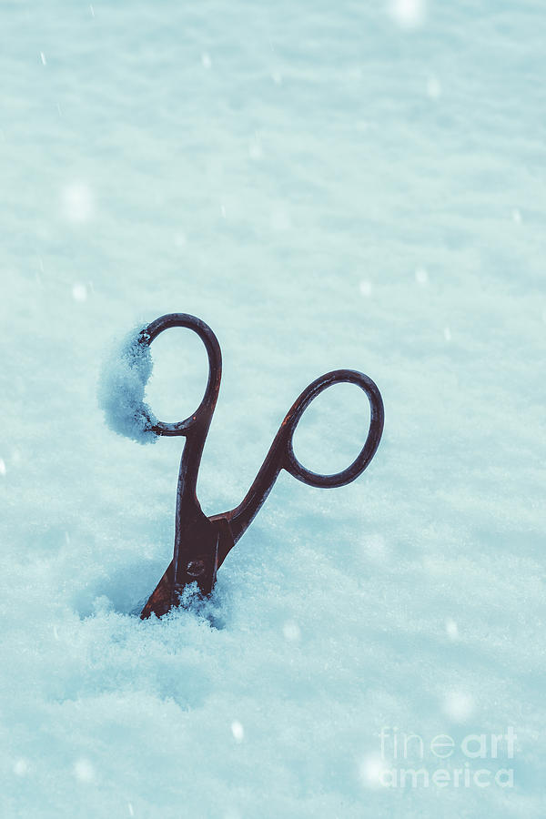 Tool Photograph - Large Scissors In Snow by Amanda Elwell