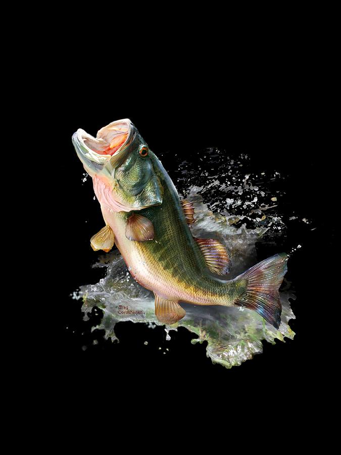 Hungry fish Digital Art by Gregory Doroshenko