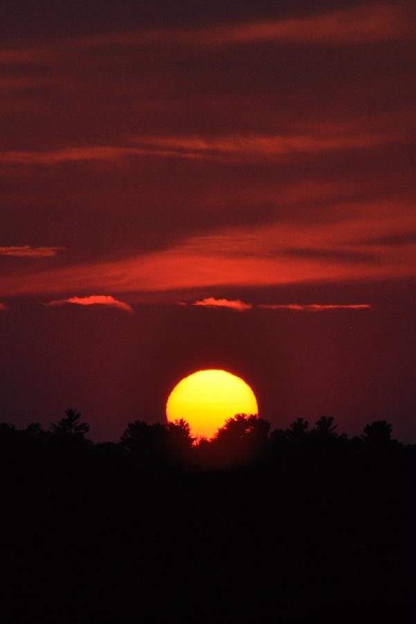 Large Sunset Photograph by Jo-Ann Matthews - Fine Art America