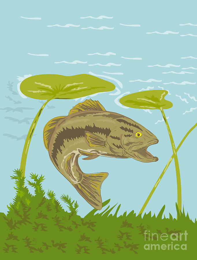 Largemouth Bass Digital Art - Largemouth Bass Fish Swimming Underwater  by Aloysius Patrimonio