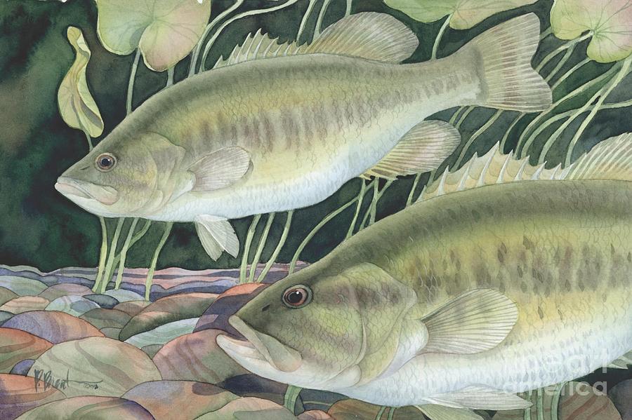 Fish Painting - Largemouth Bass by Paul Brent