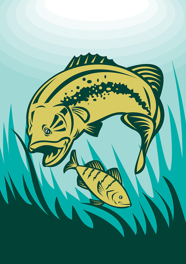 Largemouth Bass Digital Art - Largemouth Bass Preying On Perch Fish by Aloysius Patrimonio