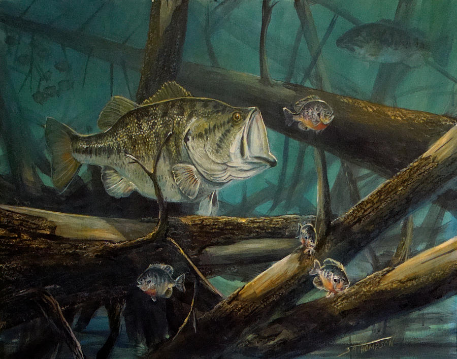 Largemouth Bass Painting by Scott Thompson - Fine Art America