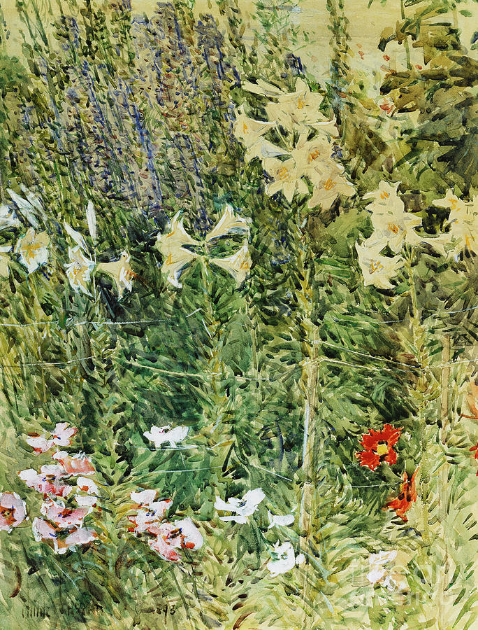 Larkspurs and Lillies, 1893 Painting by Childe Hassam