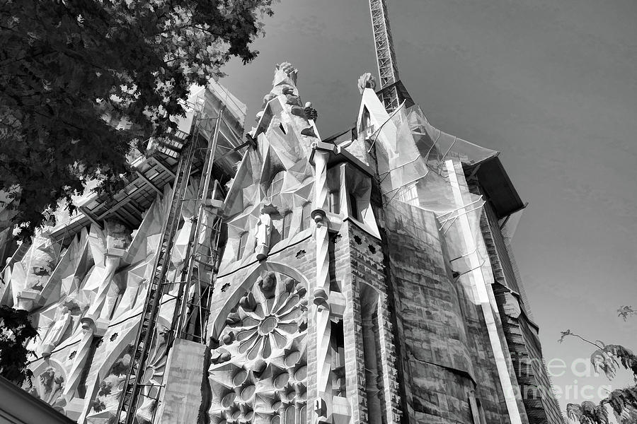 Las Sagrada Familia Spain BW Photograph by Chuck Kuhn