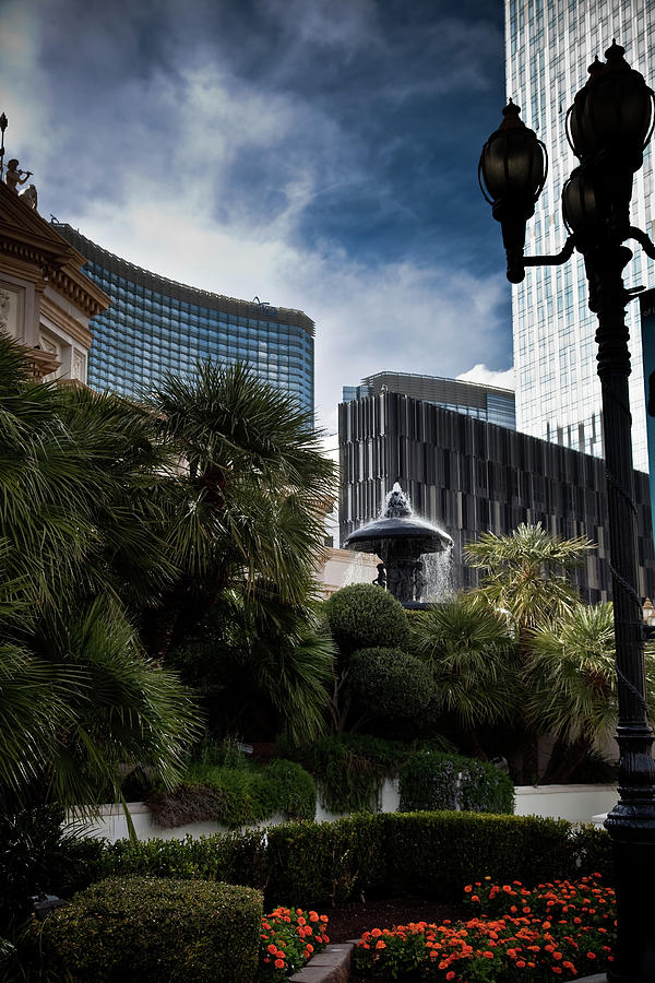 Las Vegas Photograph - Las Vegas fountain by Patrick  Flynn