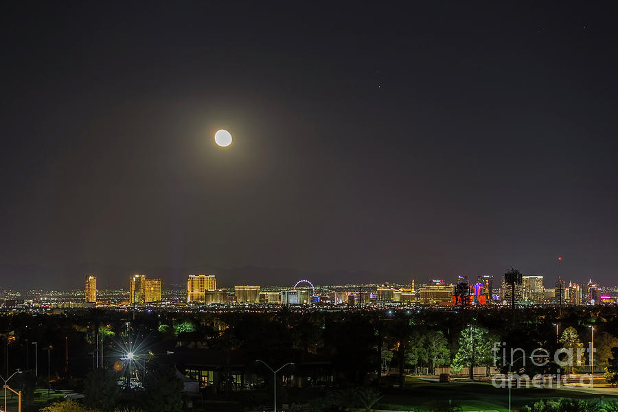 Las Vegas Desert Neighborhood by Trekkerimages Photography