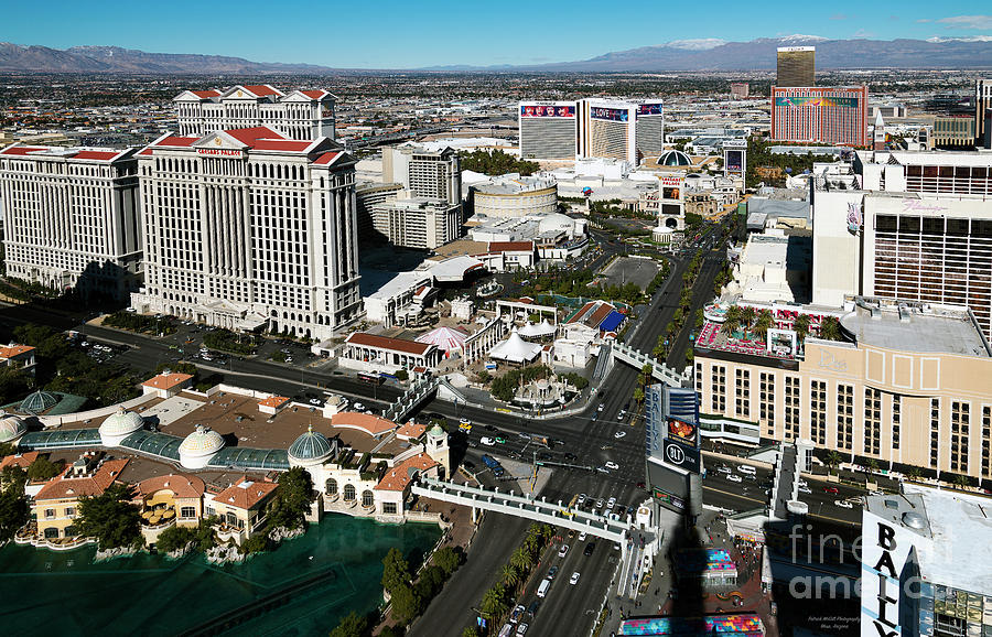Las Vegas skyline, Nevada Photograph by Patrick McGill