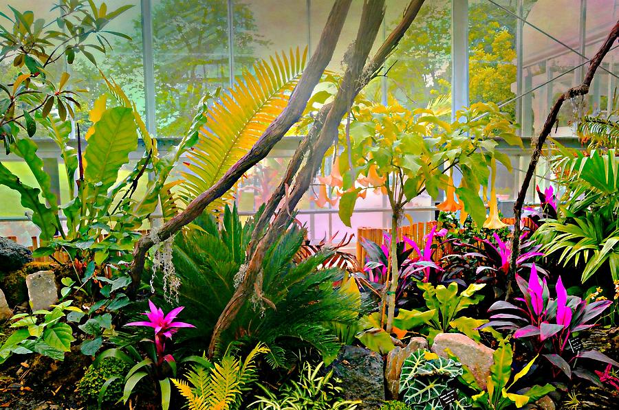 Lasdon Conservatory Photograph by Diana Angstadt