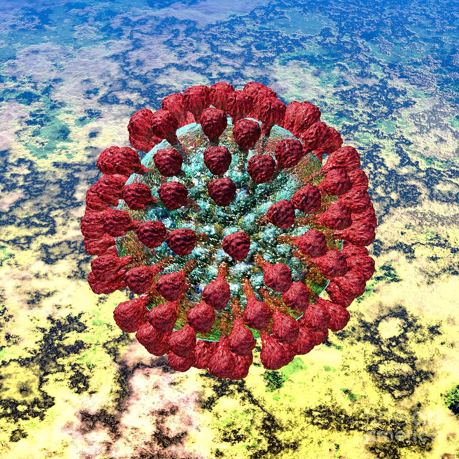 Acute Digital Art - Lassa Virus by Russell Kightley