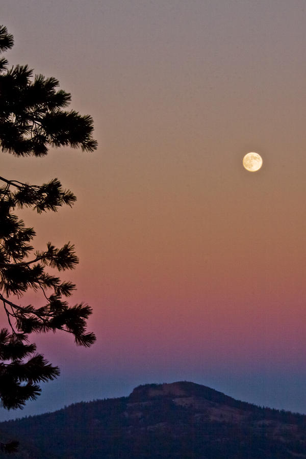 Lassen Sunset Photograph by Albert Seger