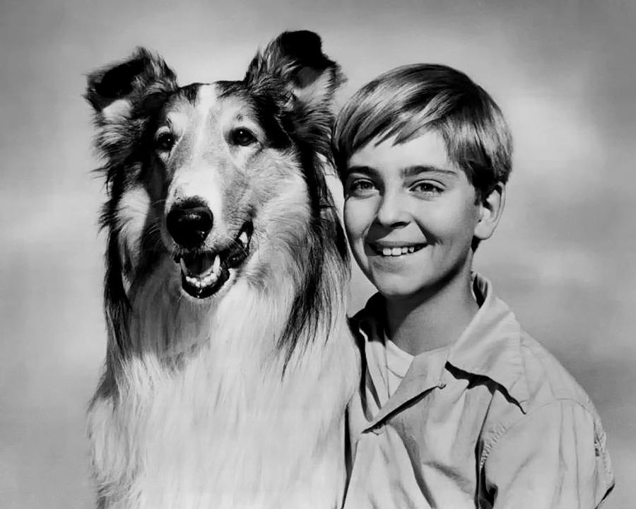 Vintage Photograph - Lassie and Tommy Rettig 1958 by Mountain Dreams