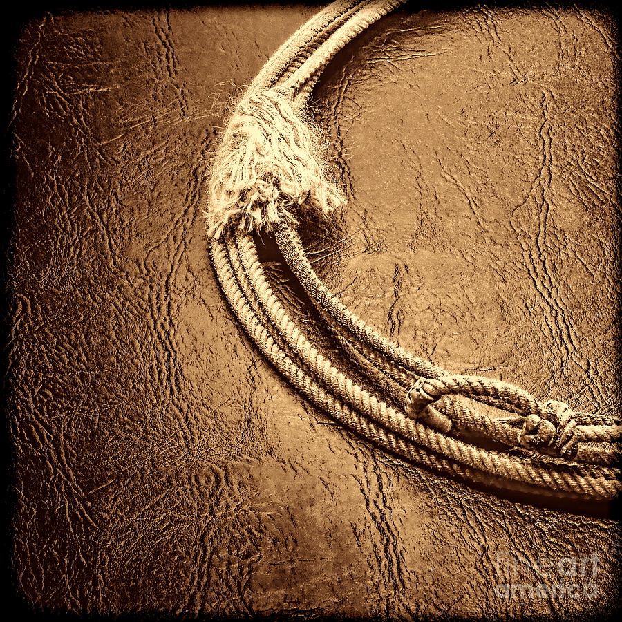 Lasso on Leather Photograph by American West Legend By Olivier Le Queinec Lasso on Leather Photograph by American West Legend By Olivier Le Queinec