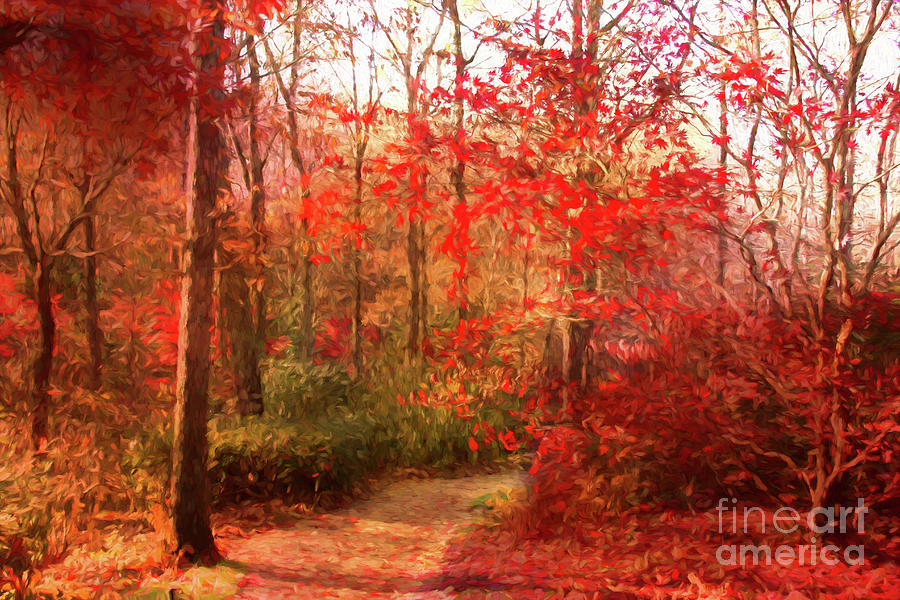 Last color of Fall Photograph by Geraldine DeBoer