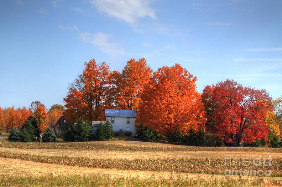 Last color on the farm Photograph by Robert Pearson