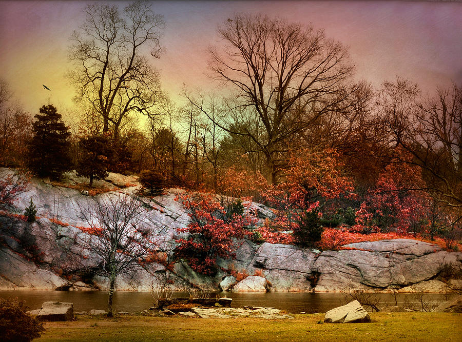 Nature Photograph - Last Fall by Diana Angstadt