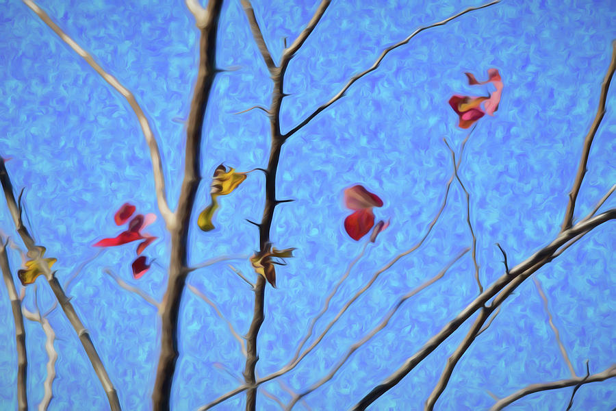 Last Leaves of Autumn in the Wind Abstract I  Digital Art by Linda Brody