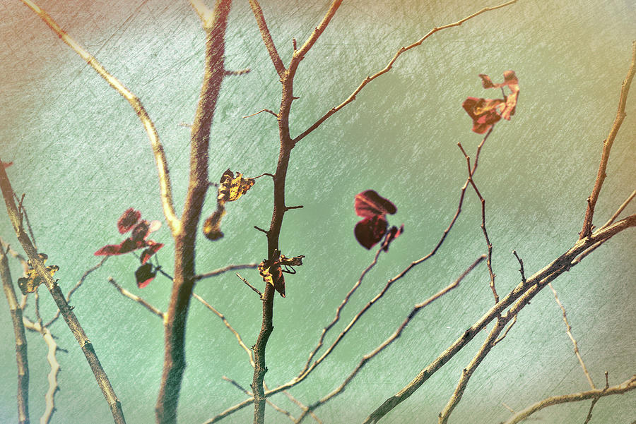 Last Leaves of Autumn in the Wind Abstract II scratched bronze Digital Art by Linda Brody