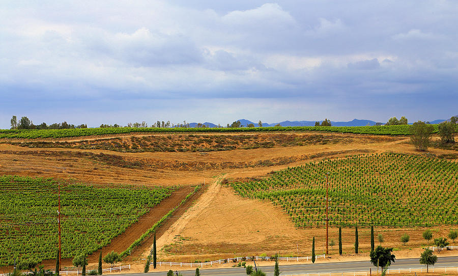 Last Parcel Of Undeveloped Land In Temecula  Photograph by Viktor Savchenko