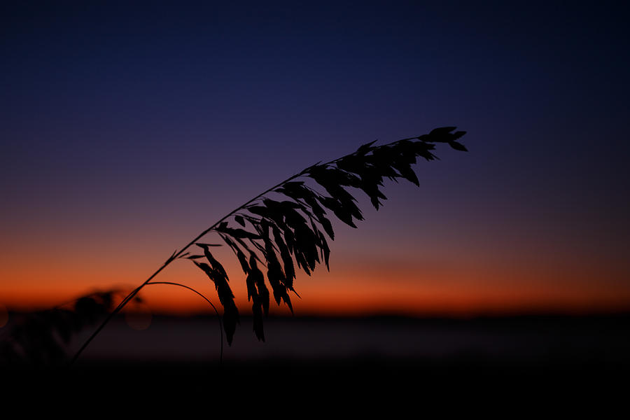 last light at Hilton Head Island Photograph by Shane Holsclaw