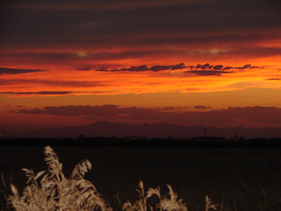 Last Light Photograph by Shane Hayes