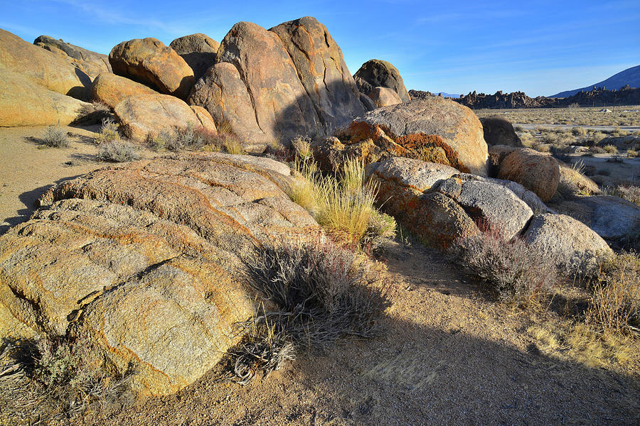 Last Light on Boulder Field in the Alabama Hills Photograph by Ray Mathis