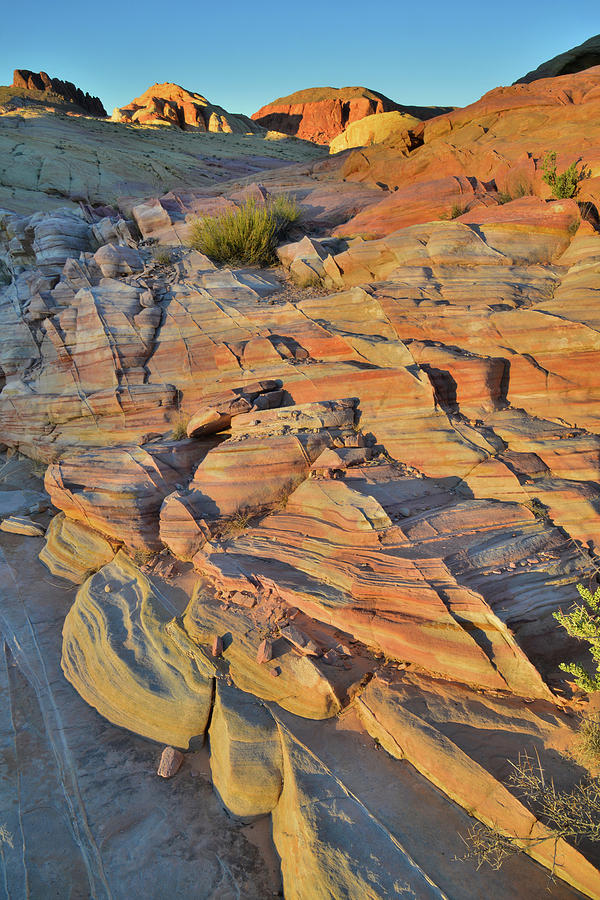 Last Light on Colorful Sandstone in Valley of Fire Photograph by Ray Mathis