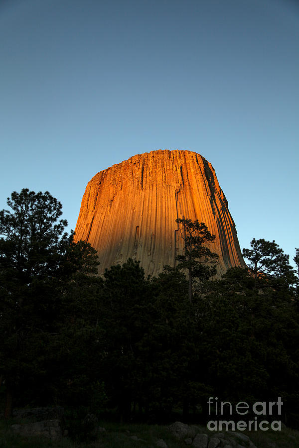 Last Light on Devils Tower Photograph by Natural Focal Point Photography
