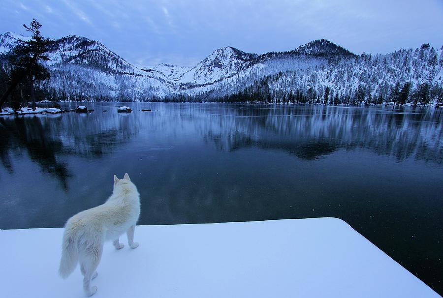  Last Light on Frozen Cascade Lake  Photograph by Sean Sarsfield