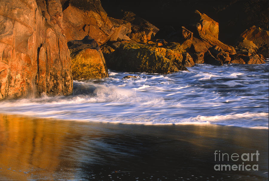 Sunset Photograph - Last Light on Harris Beach by Sandra Bronstein