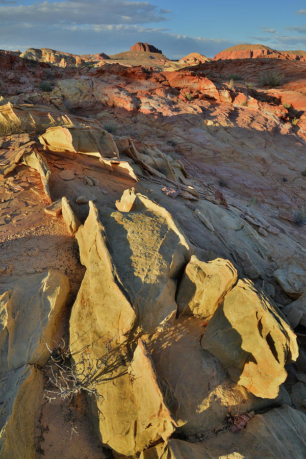 Last Light on Sandstone Sculpture in Valley of Fire Photograph by Ray Mathis