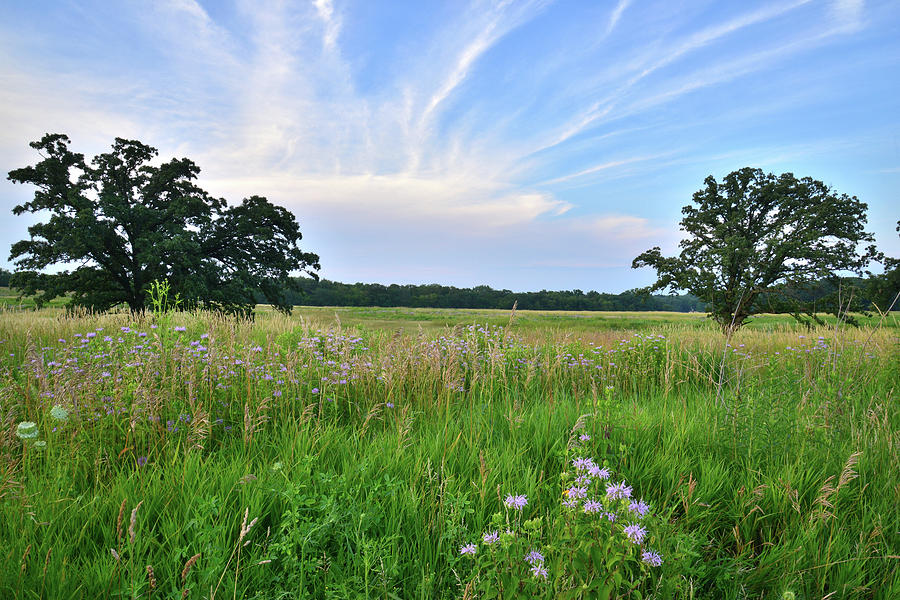 Last Light on Silver Creek Prairie Photograph by Ray Mathis