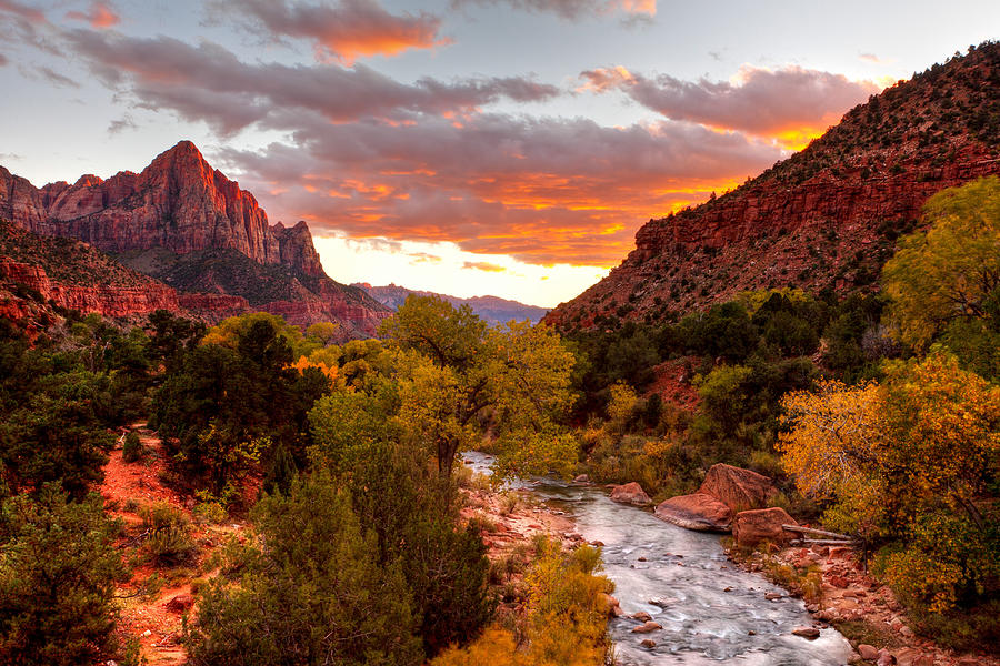 Zion National Park Photograph - Last Light On The Watchman by James Marvin Phelps