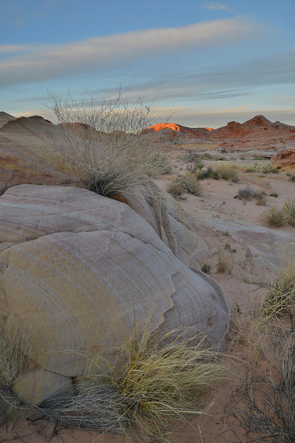 Last Light Seen From Wash 3 in Valley of Fire Photograph by Ray Mathis