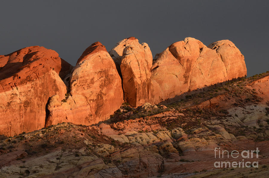 Last Light Valley of Fire Photograph by Bob Christopher