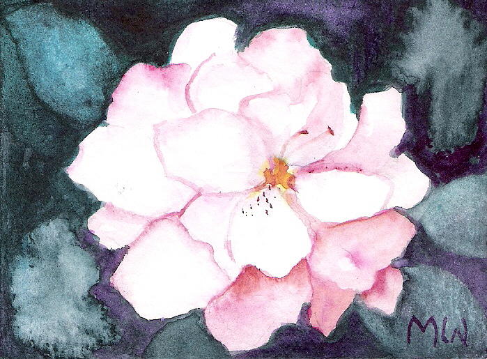 Last Little Begonia Blossom Painting by Marsha Woods