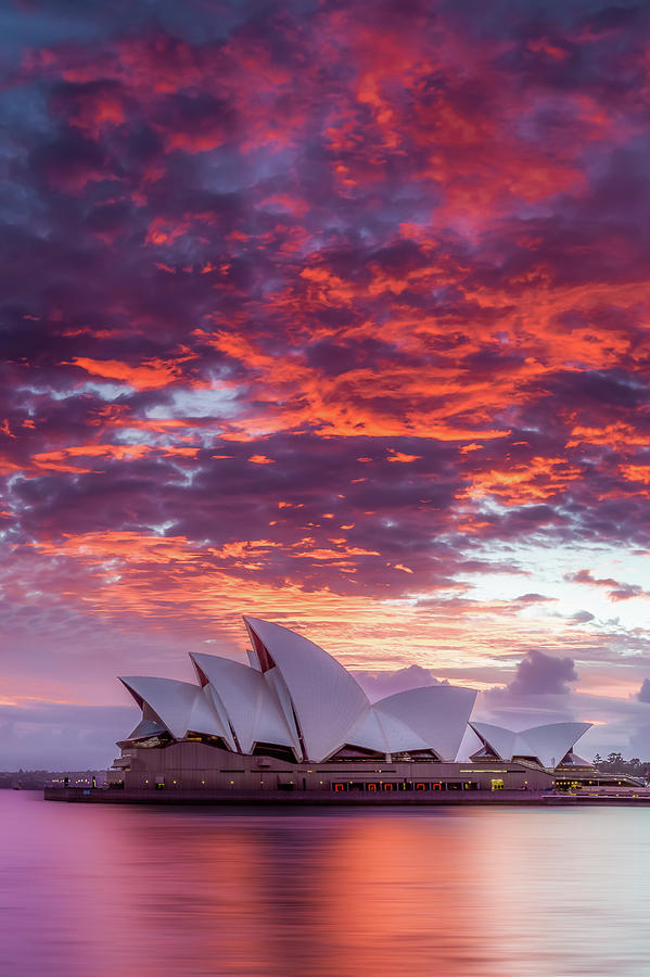 Sunset Photograph - Last Moment in Sydney by Dave Gordon