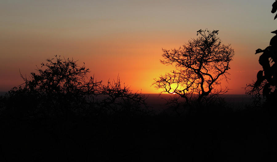 Sunset Photograph - Last Night in Africa by Dee Johnson