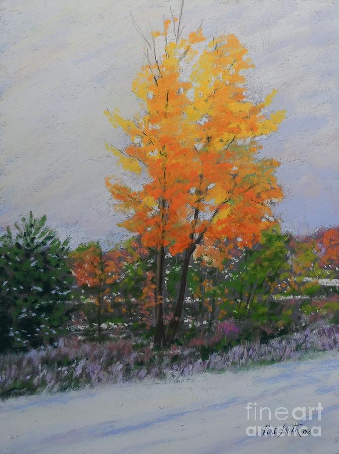 Last of Fall First of Winter Pastel by Rae  Smith
