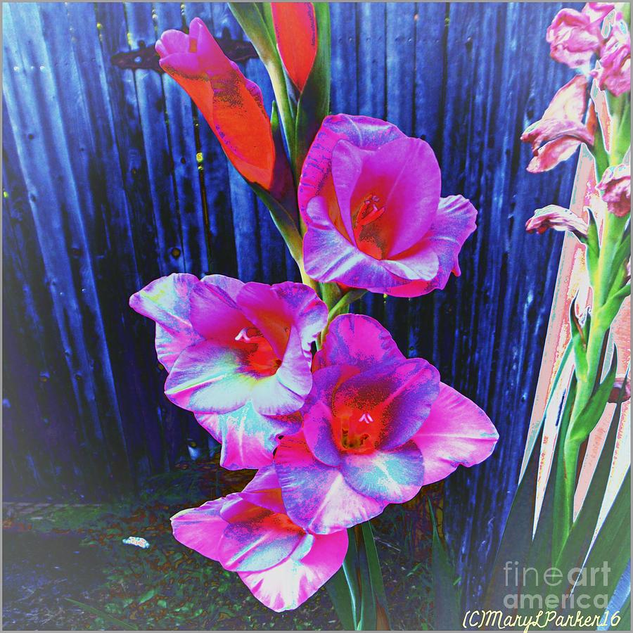 Last Of The Gladiolas Digital Art by MaryLee Parker