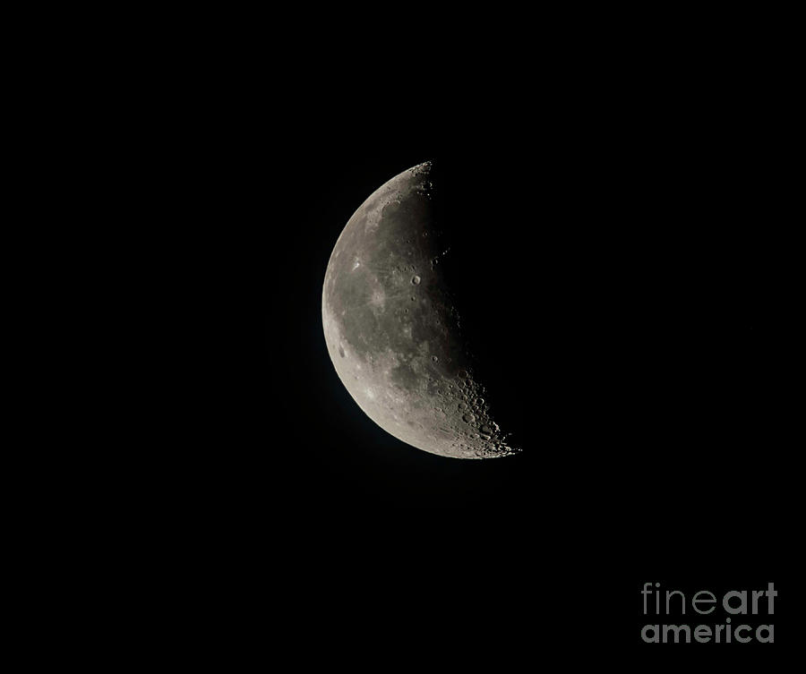 Last Quarter Moon in February Photograph by David Bearden