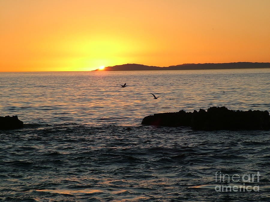 Sunset Photograph - Last Rays by John Loyd Rushing