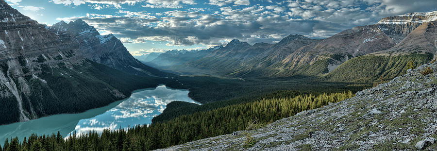 Trees Photograph - Last rays of light over Peyto Lake by Sebastien Coursol Trees Photograph - Last rays of light over Peyto Lake by Sebastien Coursol