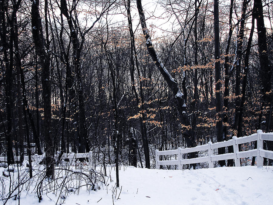 Winter Photograph - Last Remains of Autumn by Scott Hovind