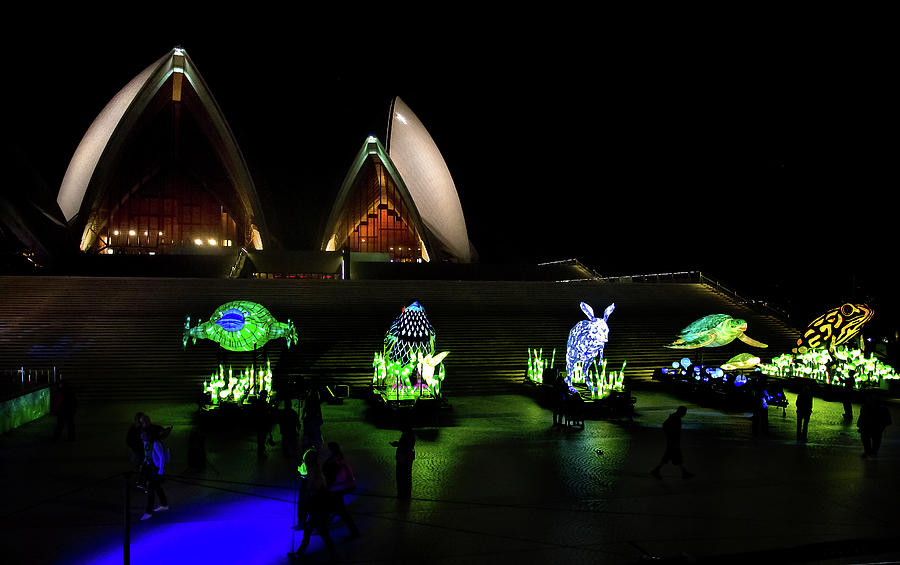 Animal Photograph - Last Stand At Opera House For Our Wildlife 1 by Miroslava Jurcik