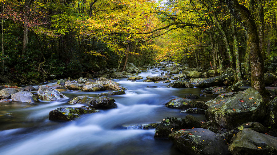 Nature Photograph - Last Stop by Chad Dutson