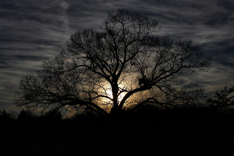 Sunset Photograph - Last SunSet Of 2010 by Vincent Case