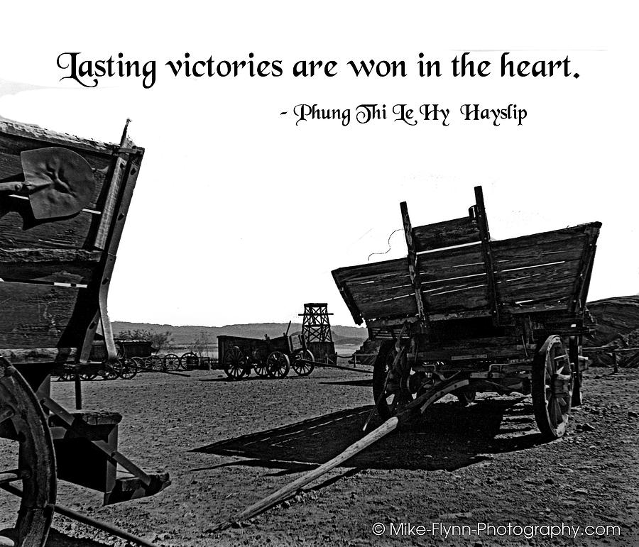 Lasting Victories Photograph by Mike Flynn