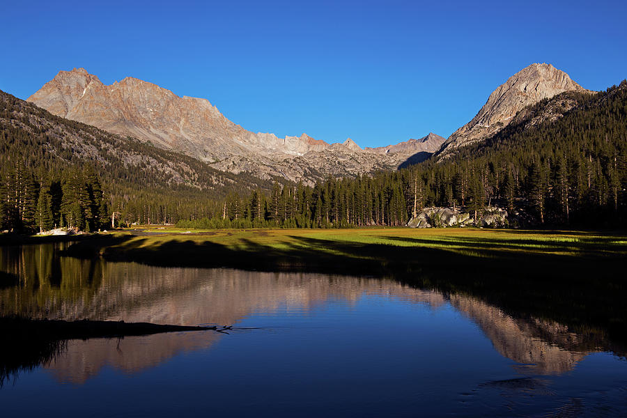 Late Afternoon at McClure Meadow Photograph by David Lunde - Fine Art ...