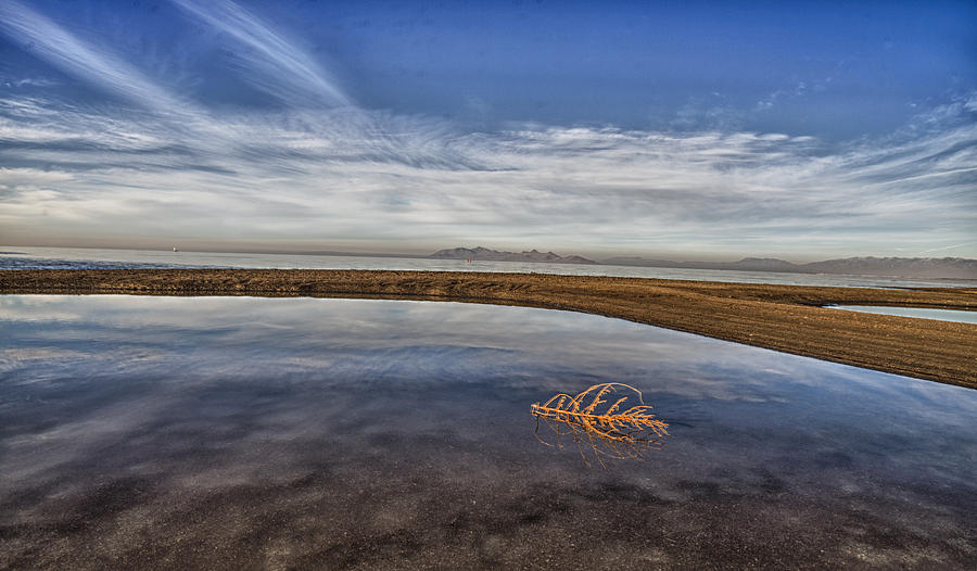 Late Afternoon at the Great Salt Lake Photograph by Gary Warnimont